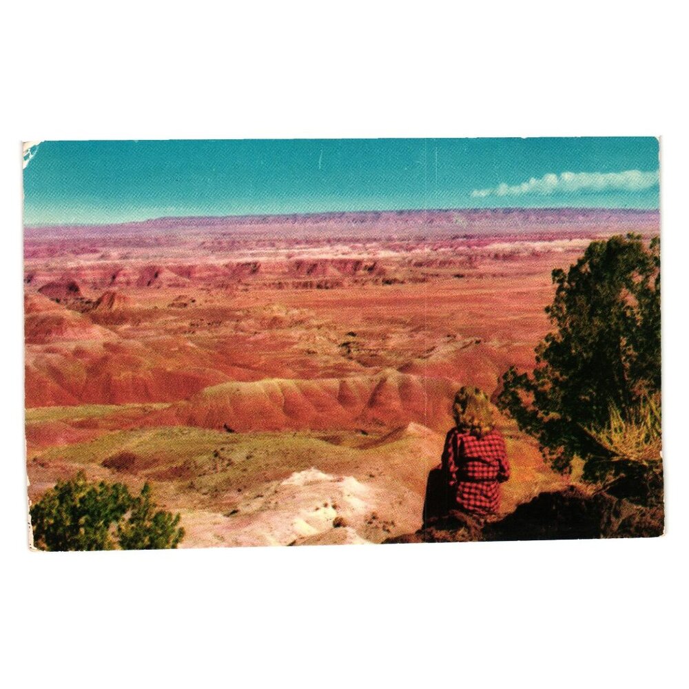 Vintage Postcard Painted Desert National Monument Arizona Fronske Studio Hwy 66